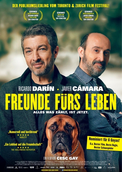 Filmplakat Freunde fürs Leben - Alles was zählt, ist jetzt